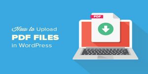 PDF files