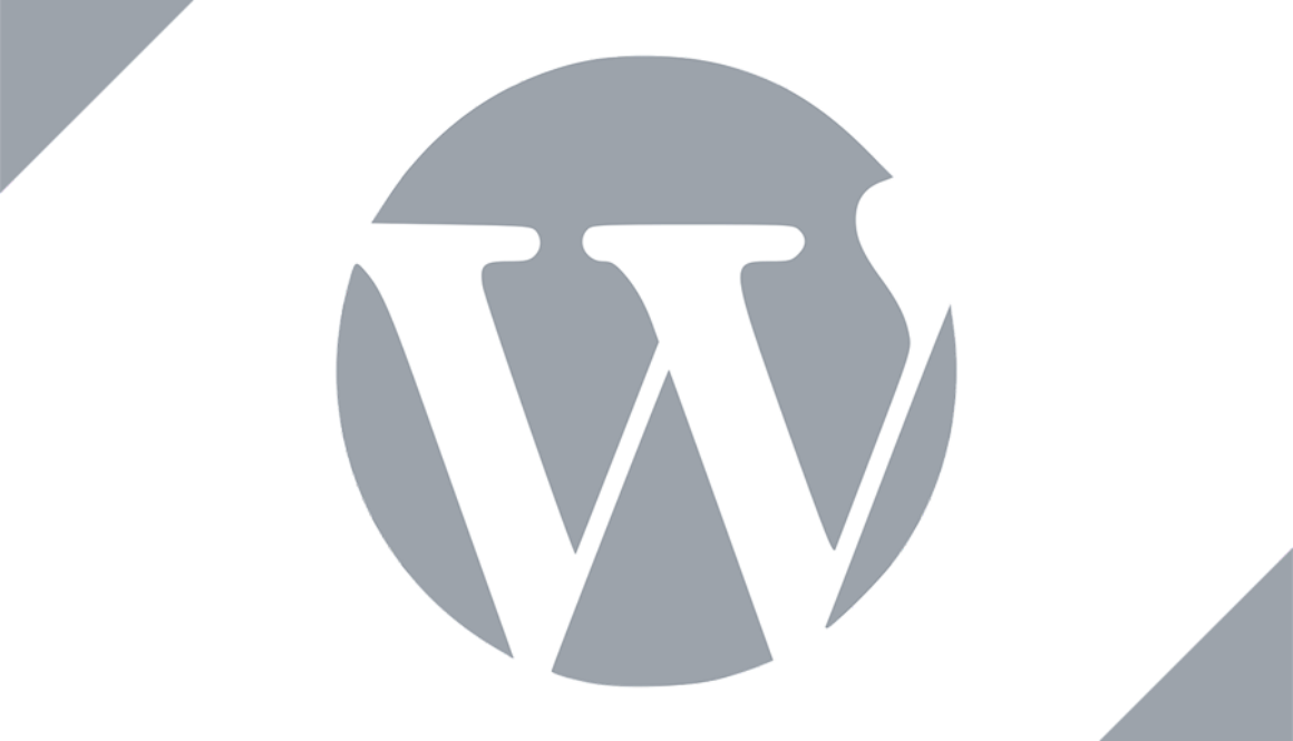 Important Things You Need to Do After Installing WordPress