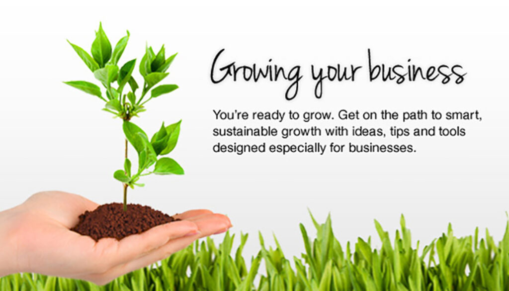 how to grow your business