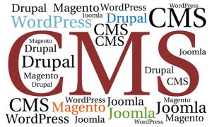 what is cms