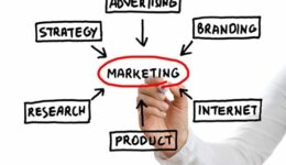 content marketing plan