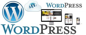 WordPress websites