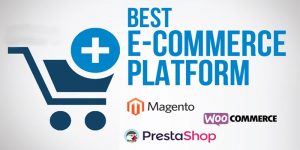 e-commerce platform