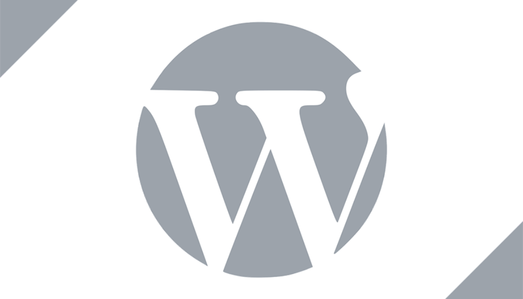 Important Things You Need to Do After Installing WordPress