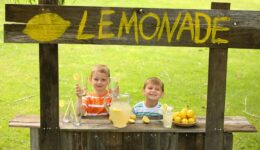 Lemonade stand