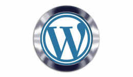 WordPress Multisite Network: The Goods and Bads