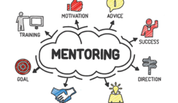 Entrepreneurship mentors in e-commerce